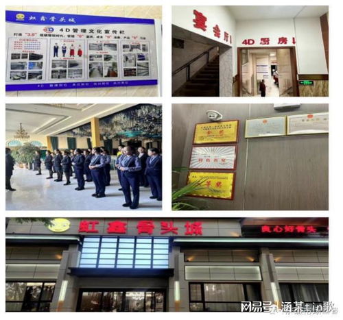 甘肃省庆城县餐饮服务食品安全红黑榜第一期（住宿）